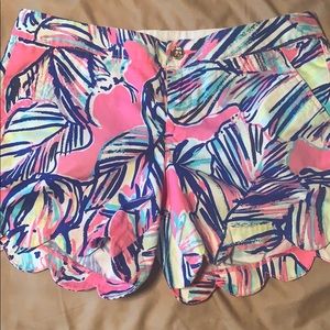 Buttercup Lilly shorts!